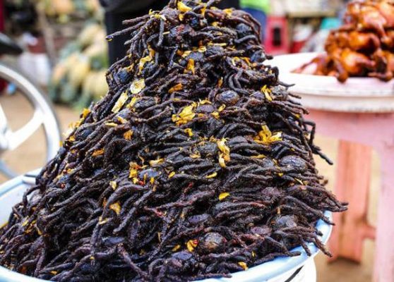 Món ăn từ nhện Tarantula phổ biến ở Campuchia bởi giàu protein, một số người còn cho rằng ăn món này có thể tăng sức mạnh đàn ông. Nhện Tarantula ăn có vị như thịt cua.